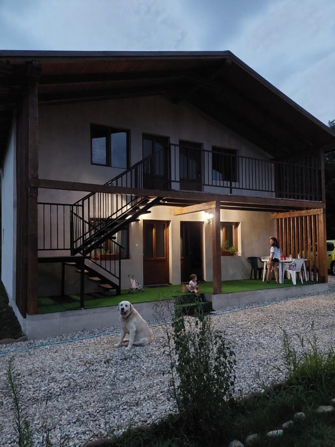 Cabana Oprisor Ocna Sibiului Exterior photo